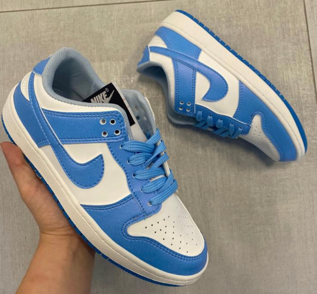 Nike Jordan Dunk Low Colores