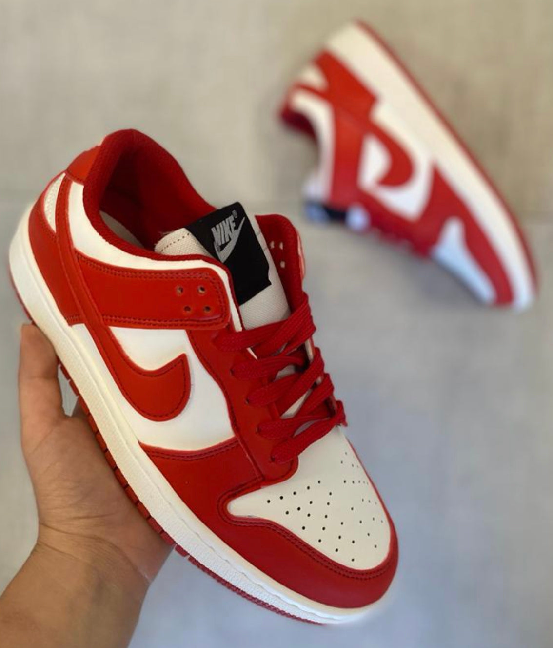 Nike Jordan Dunk Low Colores