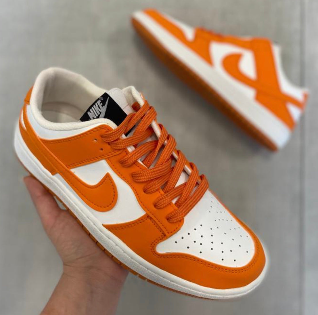 Nike Jordan Dunk Low Colores